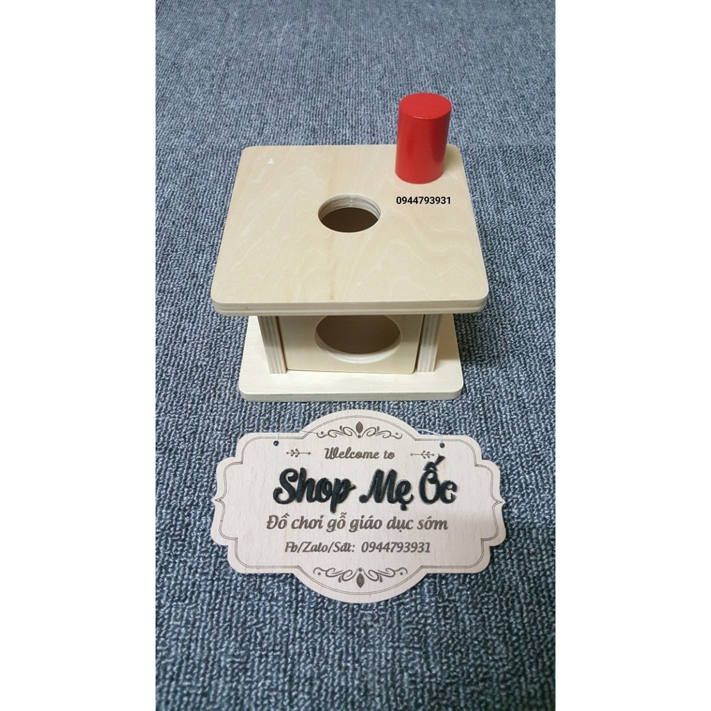 (Ảnh thật) Thả hình lăng trụ vào hộp có lỗ - Giáo cụ Montessori 0-3