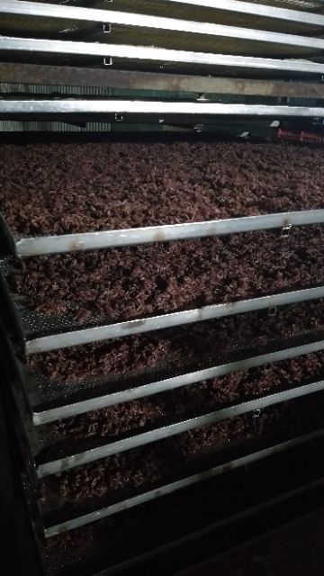 [Mã 77FMCGSALE1 giảm 10% đơn 250K] 500g gạo lứt rong biển . | BigBuy360 - bigbuy360.vn