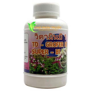 Vitamin b1 grofer thailan 100ml