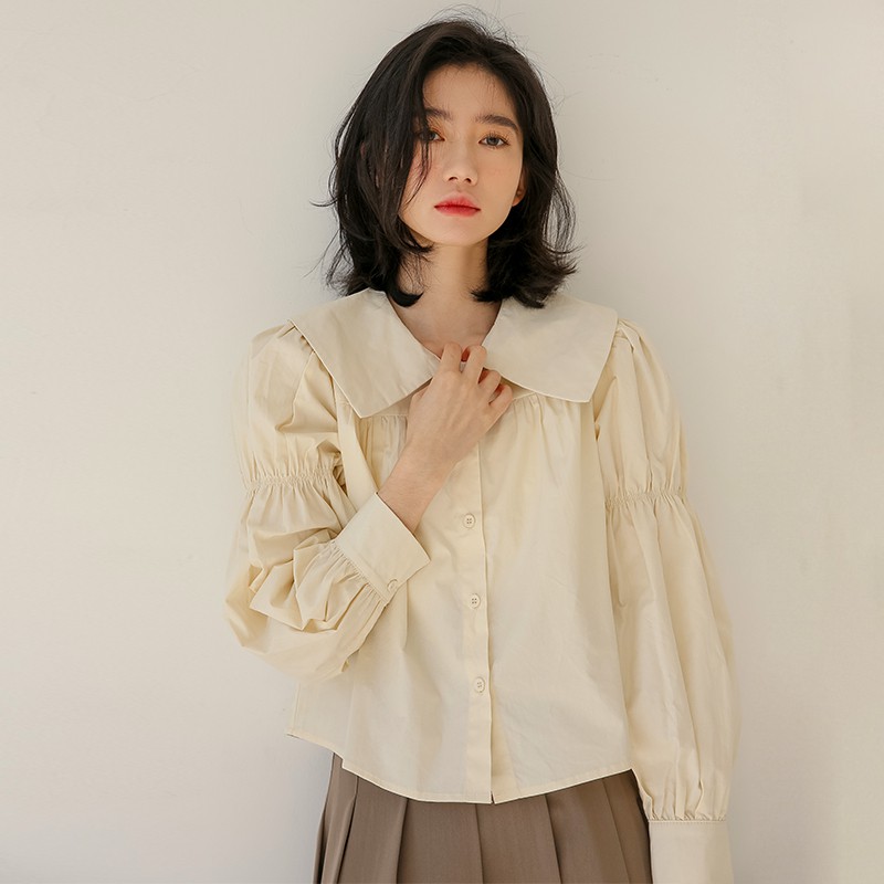 Áo Sơ Mi Nữ Kiểu Tay Dài Cổ Cánh Sen Nhọn