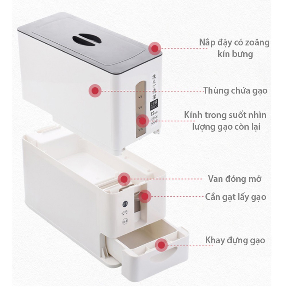 Thùng Đựng Gạo Nhật Bản Thông Minh Tiện Dụng Chất Liệu Nhựa ABS An Toàn Cho Gia Đình(Tặng Nạo Đa Năng) DO ducstore PP | BigBuy360 - bigbuy360.vn