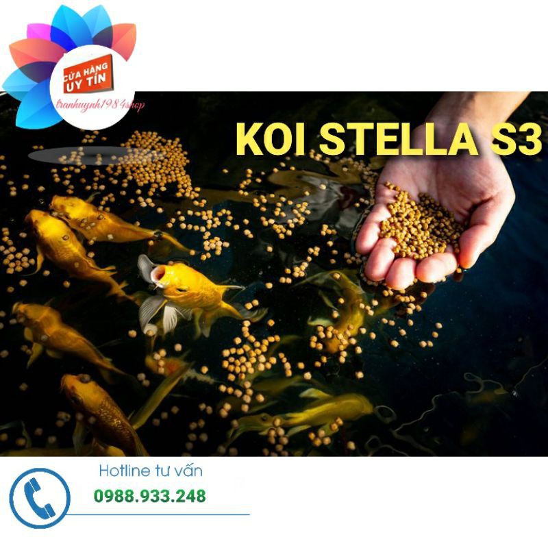 Cám Koi STELLA S2, S3 ||Túi 1Kg