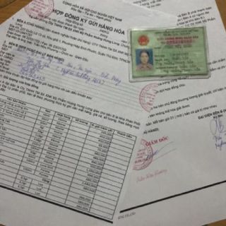 Kem zoley xanh