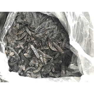 Bồ kết khô 1kg ( quả mẩy đẹp) mới