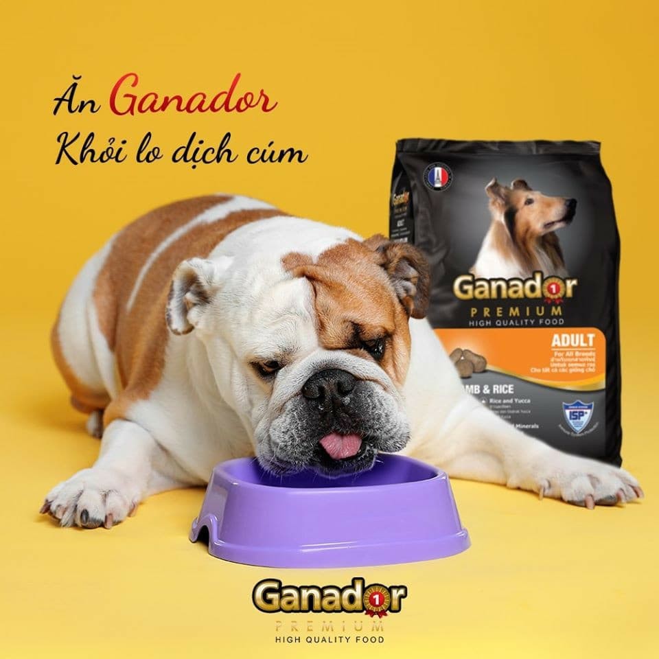 Ganador premium adult dog lamb and rice 3kg hạt khô thịt cừu và gạo thức ăn cho chó trưởng thành chất lượng pháp