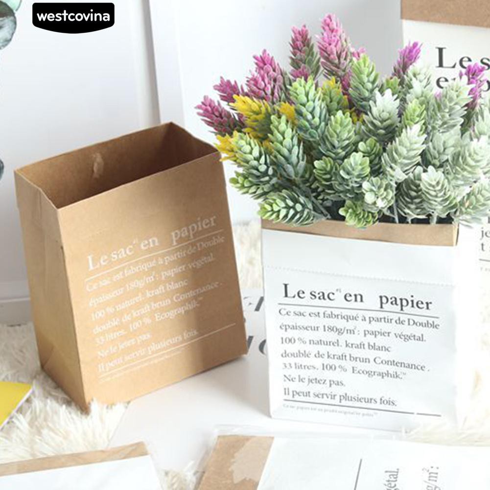 Giảm GIÁ SỐC : túi giấy trồng cây , có thể tái sử dụng