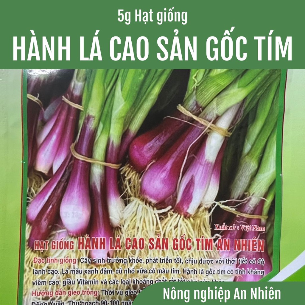 5g Hạt giống Hành lá cao sản gốc tím