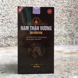 Nam Thận Vương Power