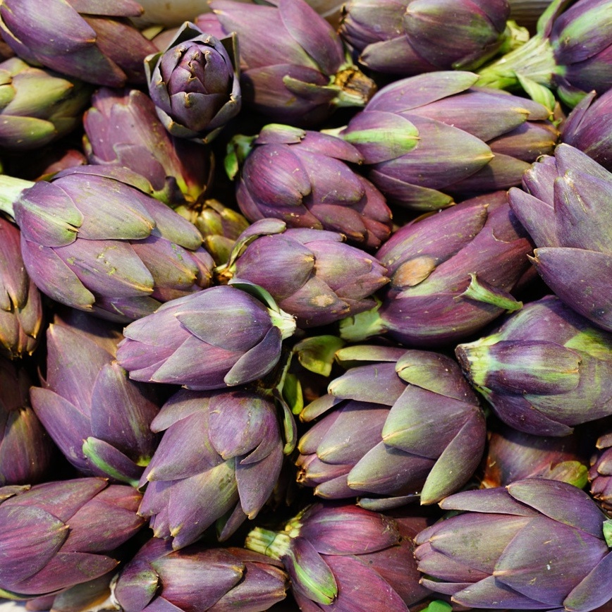 Hạt Giống Atiso Đà Lạt Bông Tím (RADO935) 2gr