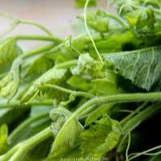 20gram HẠT GIỐNG BÍ SIÊU NGỌN