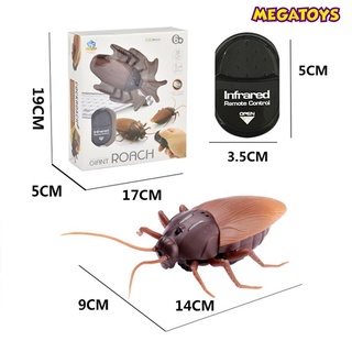 Đồ Chơi Gián Điều Khiển Từ Xa ZF - Siêu Bọ Máy - 9916