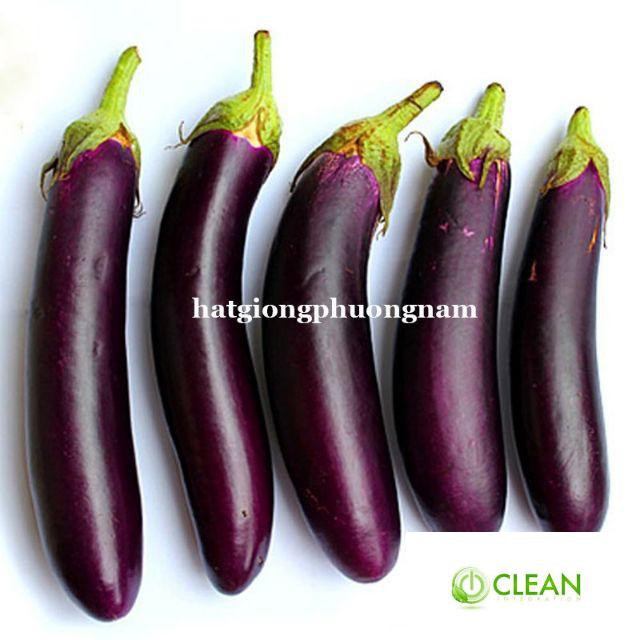 Hạt giống Cà Tím Dài F1 1gram