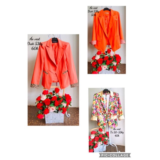 Áo vest kiểu