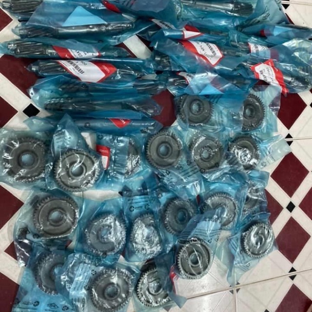 Cặp nhông láp zin Sh ý 2012 ( cốt nồi + nhông dẹp )