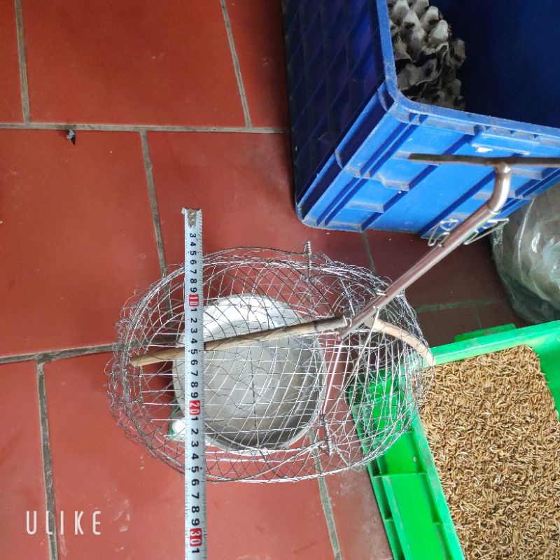 Lồng bẫy chào mào inox 2 mặt hình quả đào , lồng bẫy chim các loại siêu nhạy , loại mới fom đẹp