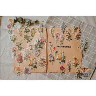  STICKER HOA CỔ ĐIỂN lớn 60 tấm