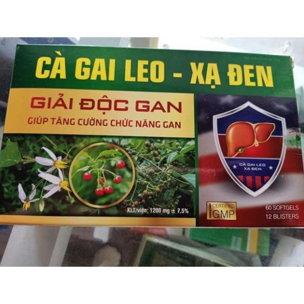 Cà gai leo xạ đen giải độc gan tăng cường chức năng gan hiệu quả hộp 60 viên