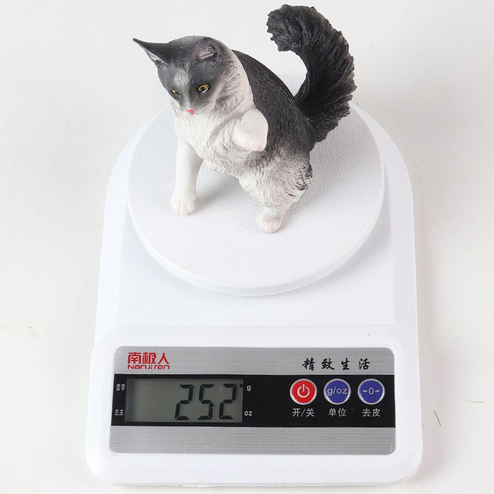 Mô Hình Mèo Ragdoll Đồ Chơi Nhận Biết Nhận Dạng Giống Thật Cho Trẻ Em