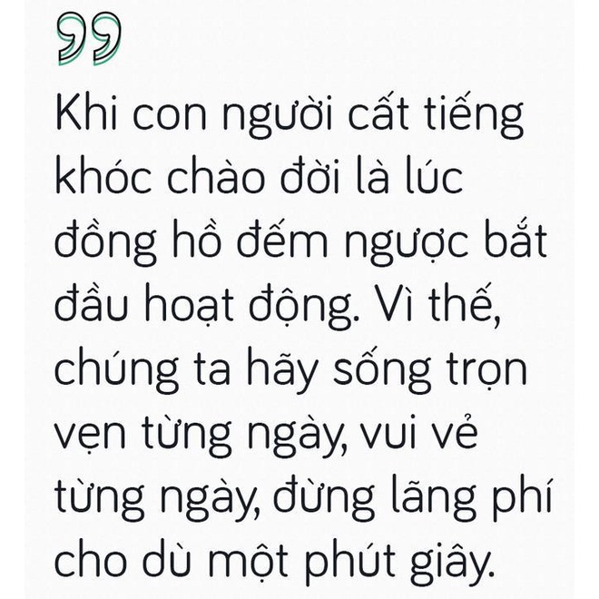 K21 - Khuôn Kim Loại Cắt Hình Chiếc Lá