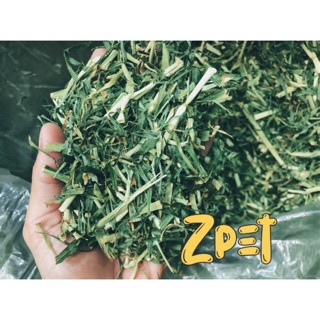 Cỏ lúa mạch siêu dinh dưỡng cho thỏ bọ 500g-1kg
