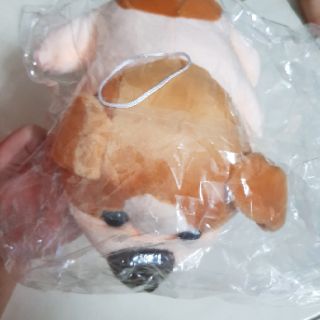 Gấu bông cho bé