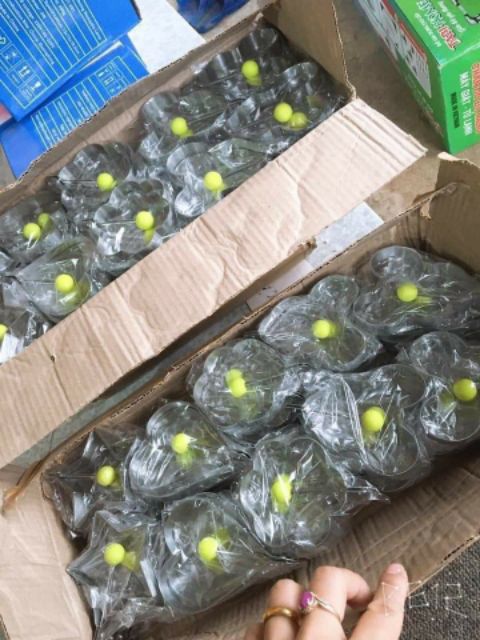 Khuôn Rán Trứng Tạo Hình Siêu Xinh