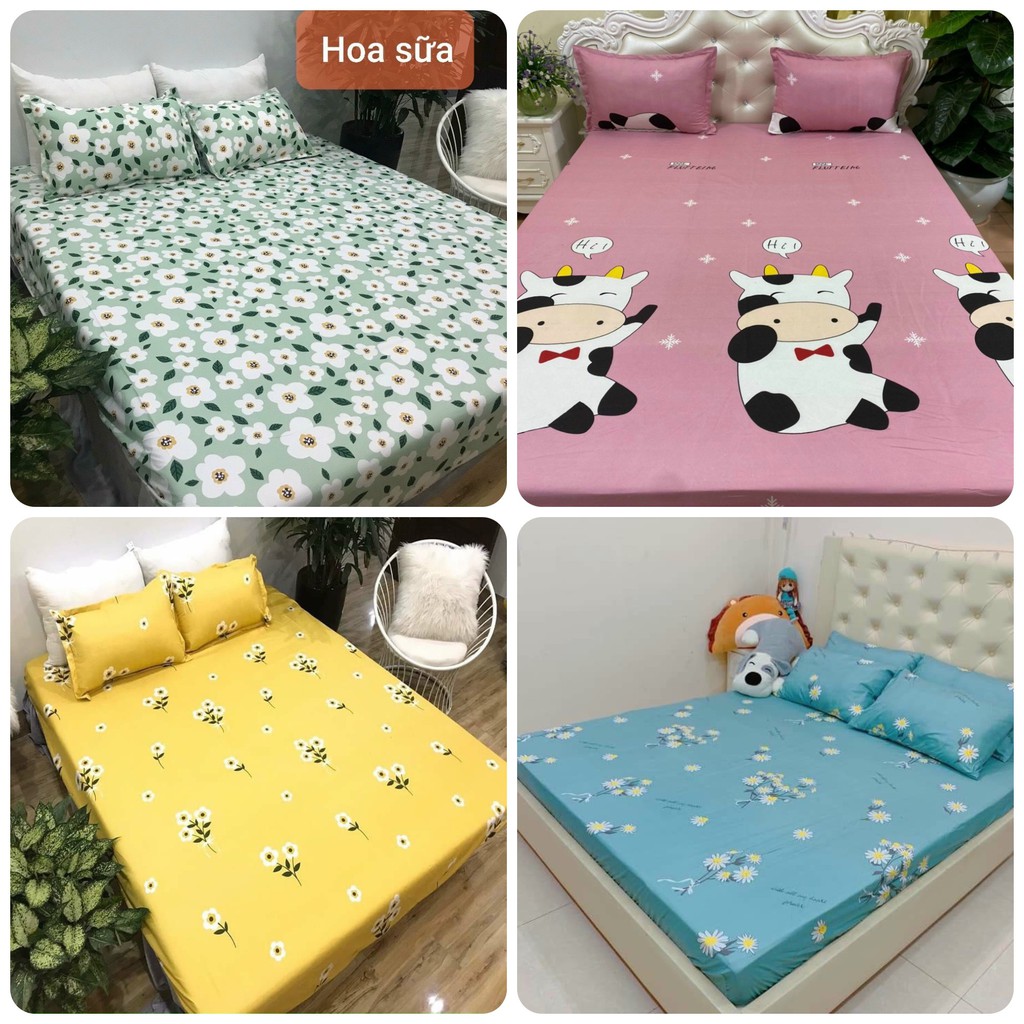 Bộ 3 món ga vỏ gối cotton poly cao cấp mùa hè đủ màu, full size