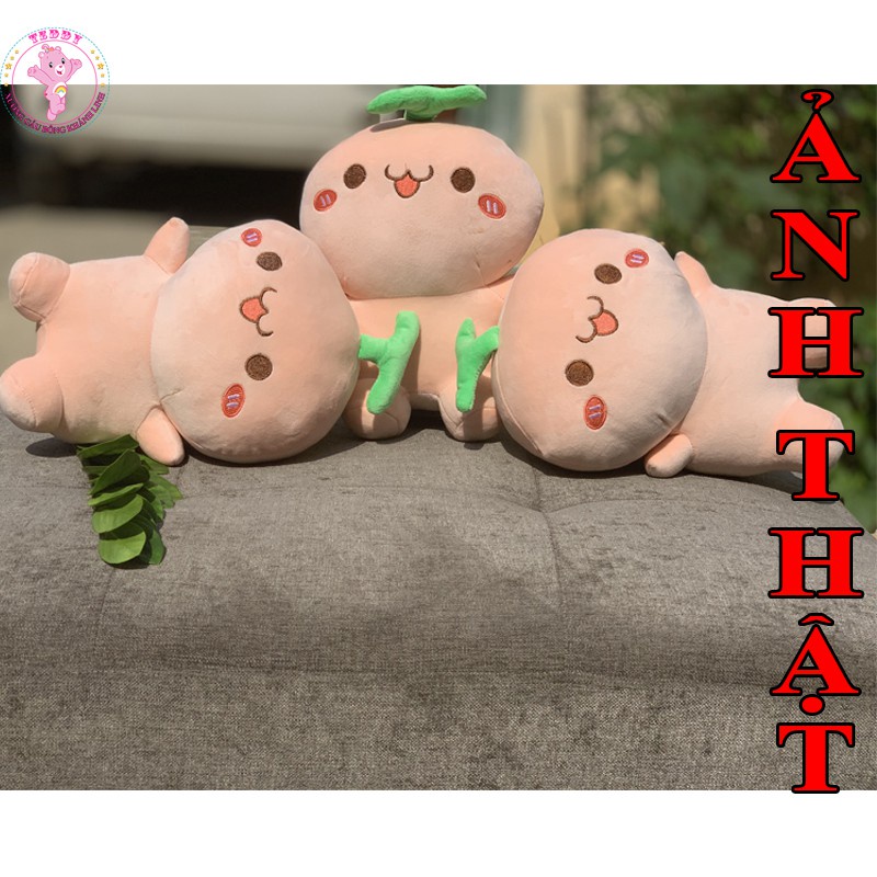 Gấu Bông Rau Mầm Củ Cải Siêu Dễ Thương Size 40Cm Vải Nhung Co Dãn 4 Chiều Hàng Xuất Siêu Thị