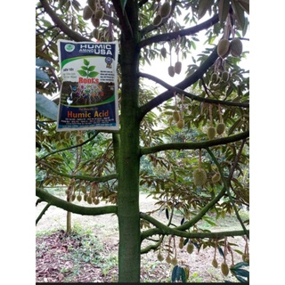 phân bón humic usa