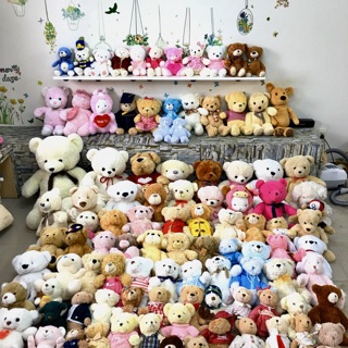 Lô gấu bông teddy 20 con