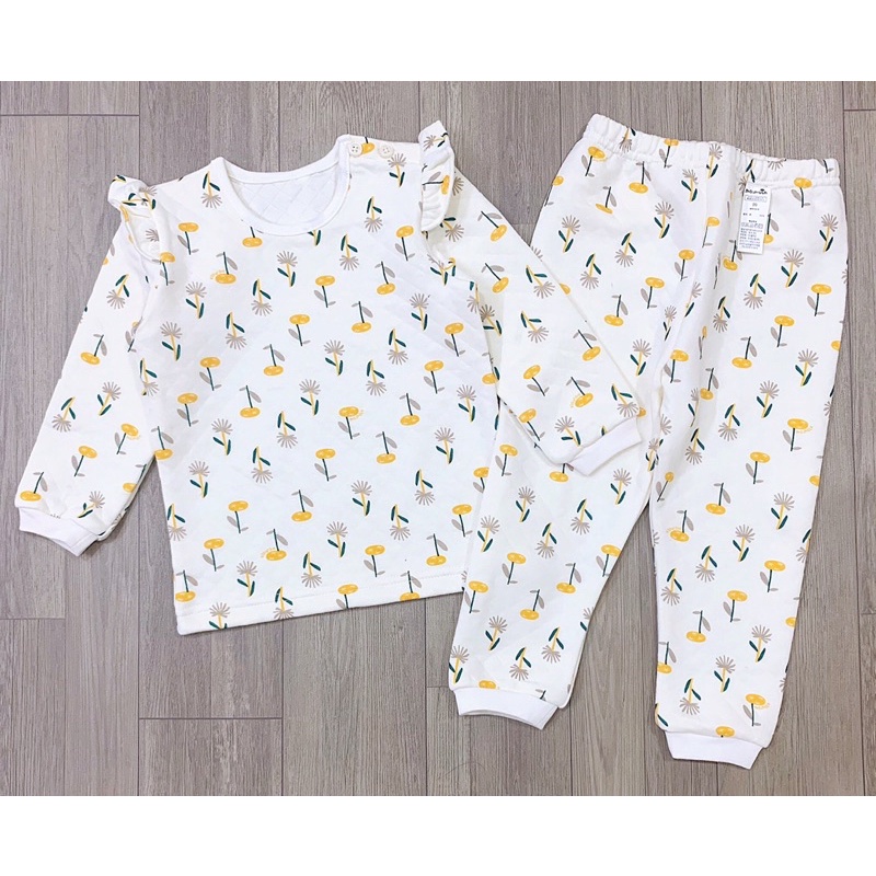 Bộ trần bông xuất Hàn