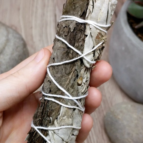 Xô thơm Lá Bạc Hà (White Sage & Peppermint) Giảm Căng Thẳng & Loại Bỏ Tiêu Cực l XÔ THƠM THANH TẨY | BigBuy360 - bigbuy360.vn