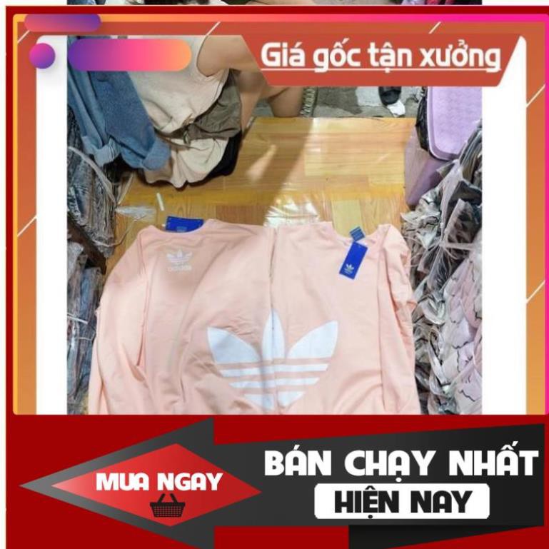 Áo Moss-Áo LV-Áo Das