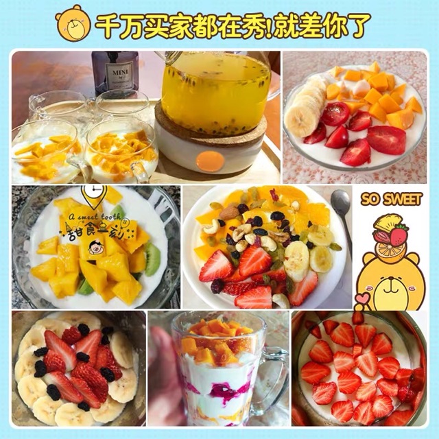 MÁY LÀM SỮA CHUA BEAR CHÍNH HÃNG