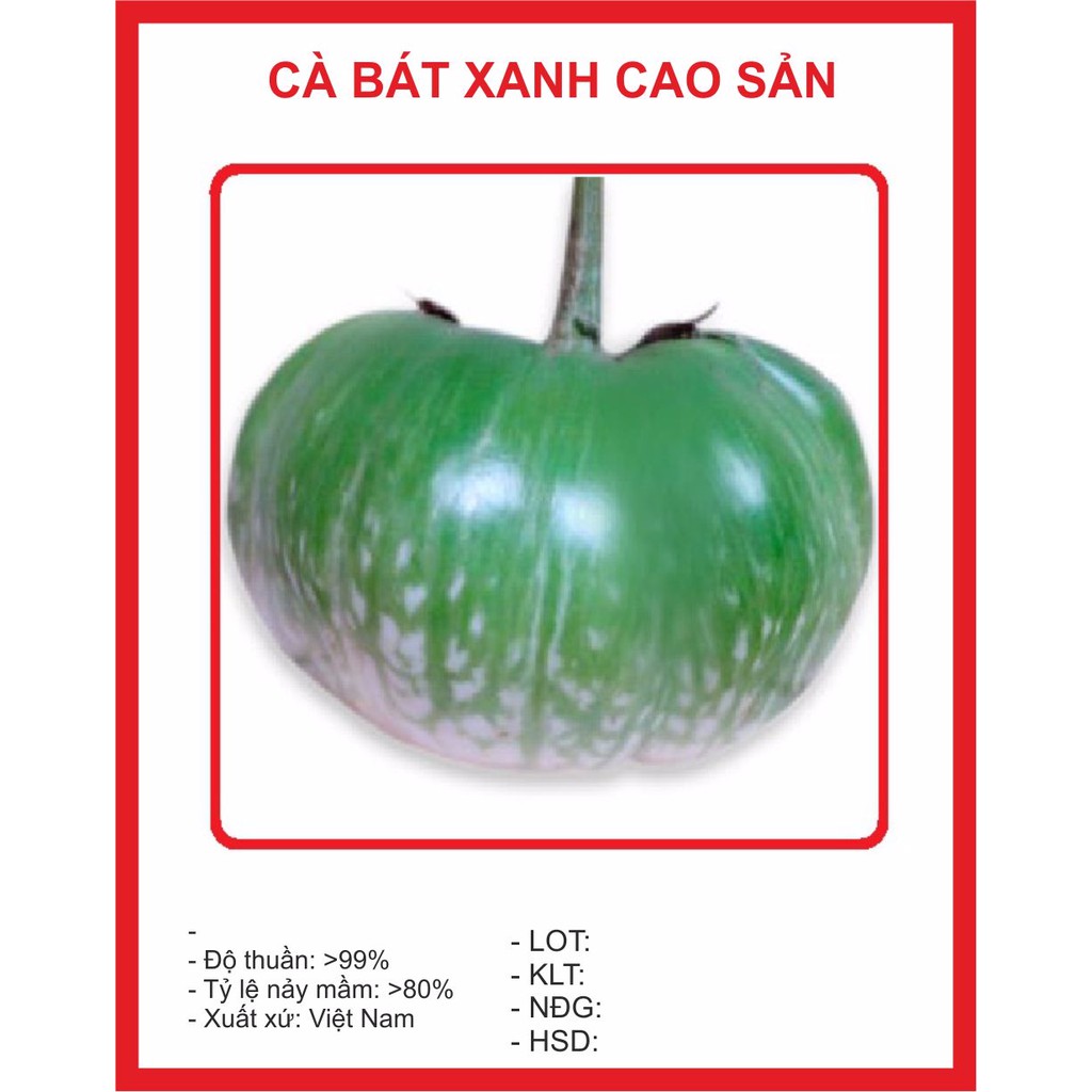 Hạt giống Cà Bát Xanh (da ếch) 1gram