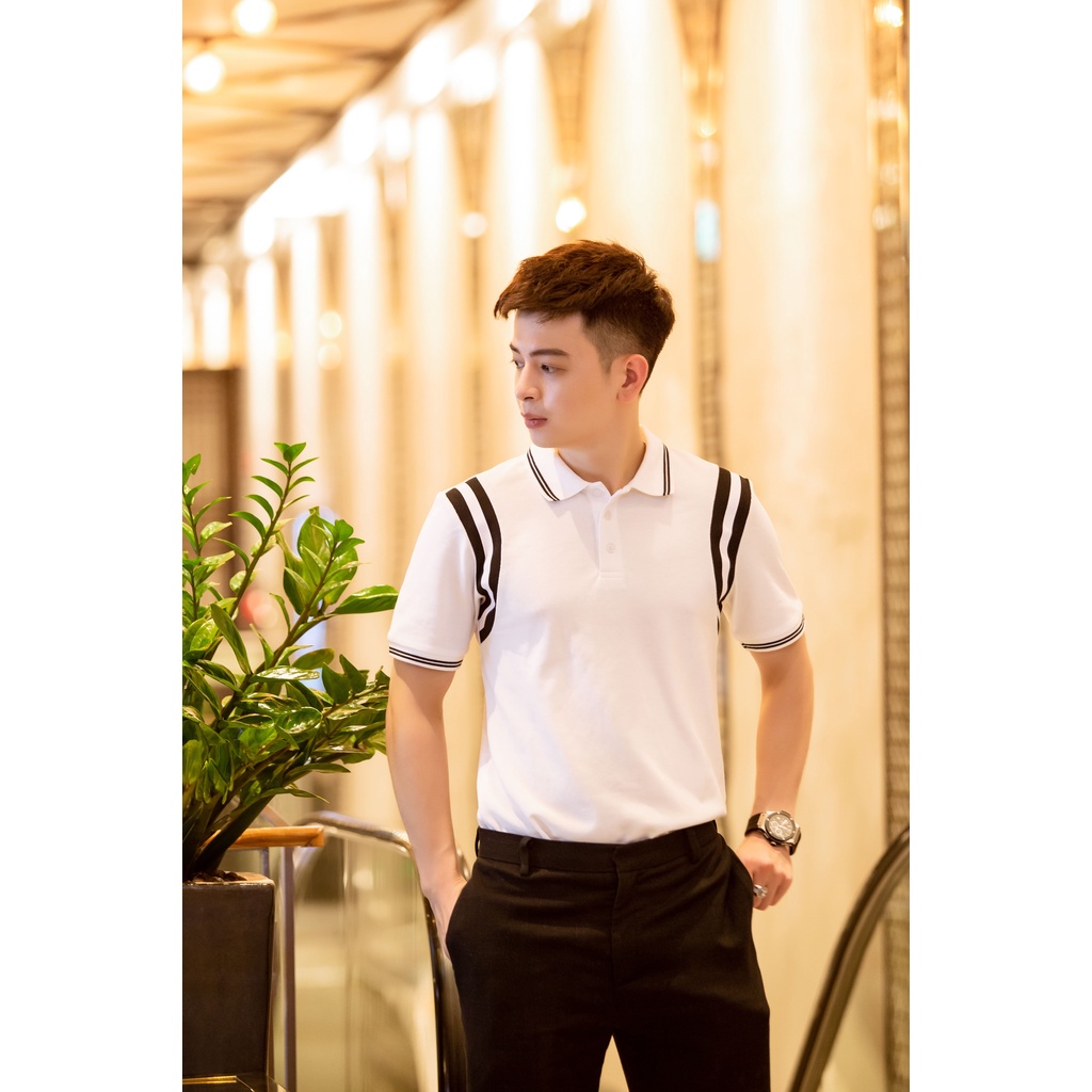 Áo Polo nam cổ bẻ Polite Polo 2.0 vải Cotton xuất xịn, chuẩn form, sang trọng, thanh lịch BENTONI | BigBuy360 - bigbuy360.vn