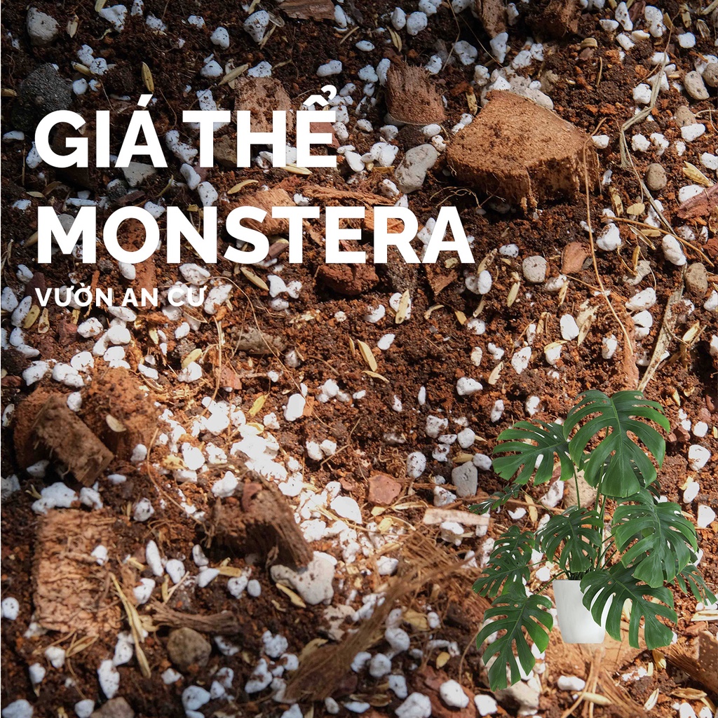 Đất trồng, giá thể cho cây Monstera (ảnh thật) trầu bà nam mỹ đã trộn sẵn chất lượng tốt (1kg)