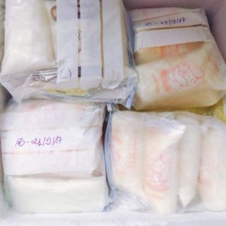 Túi zip bảo quản sữa mẹ Summum