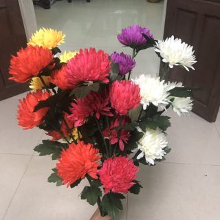 hoa cúc vạn thọ vải. 25k/cành