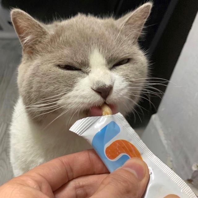 Súp thưởng cho mèo Pet Snack (1 thanh lẻ - mix vị )