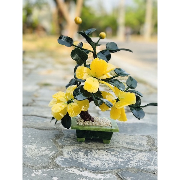 Cây hoa đá phong thuỷ 25cm