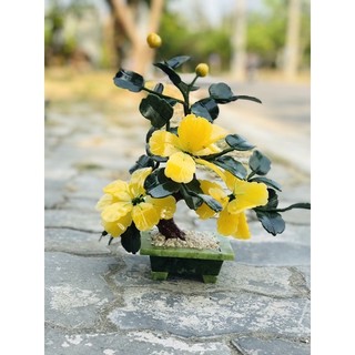 Cây hoa đá phong thuỷ 25cm