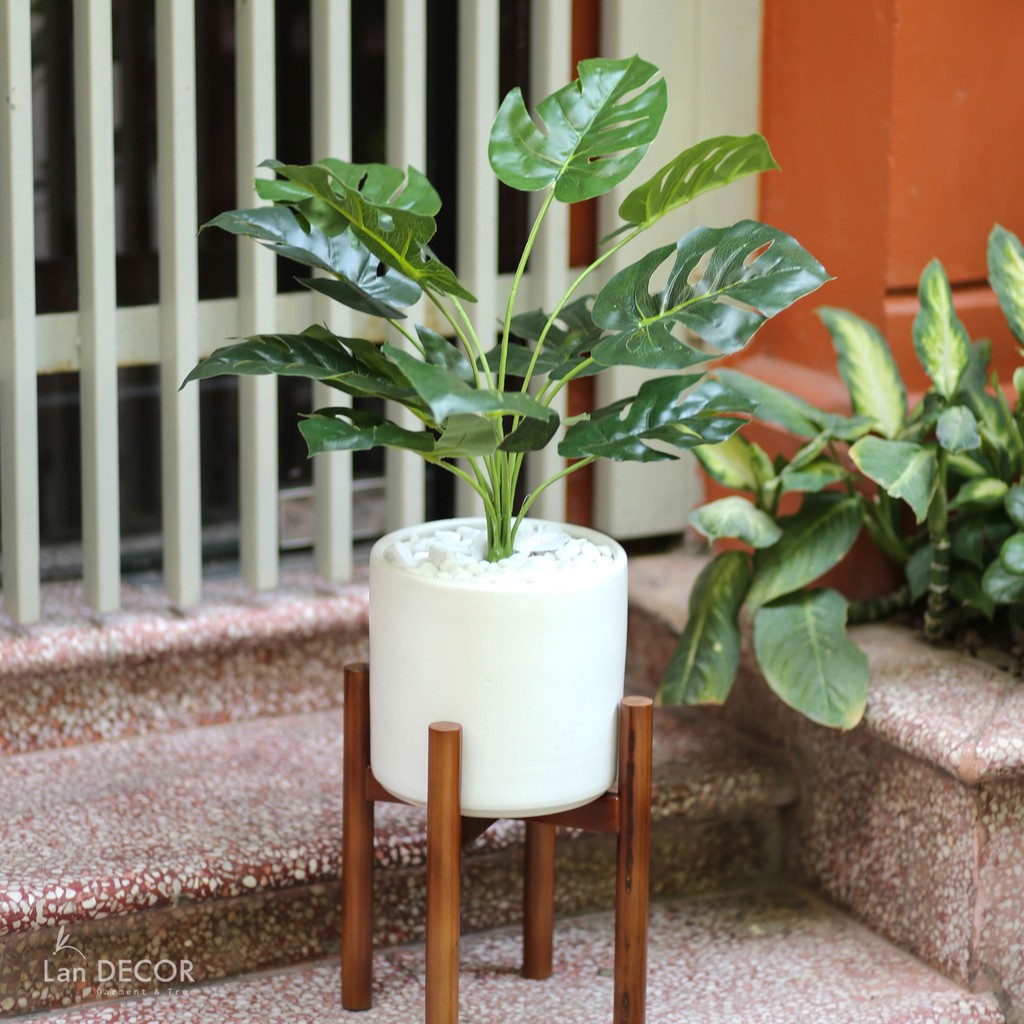 Chậu gốm trụ trắng trồng cây Lan Decor 19cm, 22cm, 26cm, 30cm