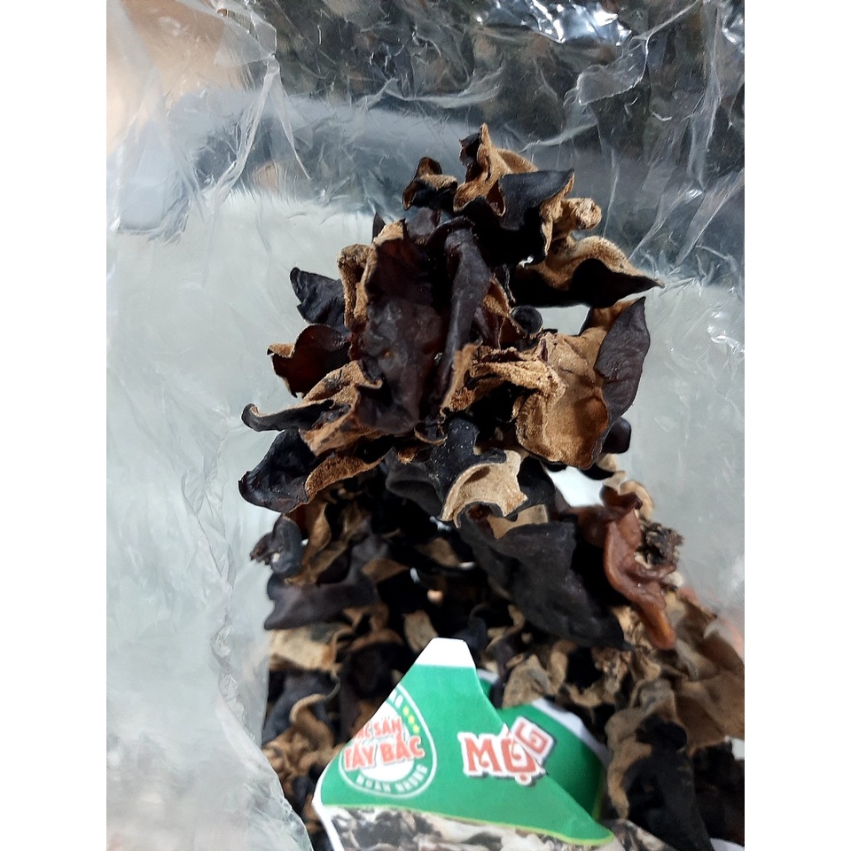 Mộc Nhĩ Rừng