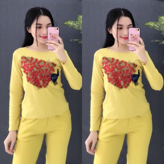 Sét bộ thêu hình con công