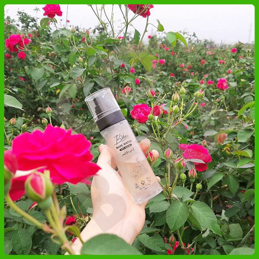 Nước hoa hồng Bbkiu thiên nhiên 100% từ hoa hồng thiên nhiên và nước tinh khiết