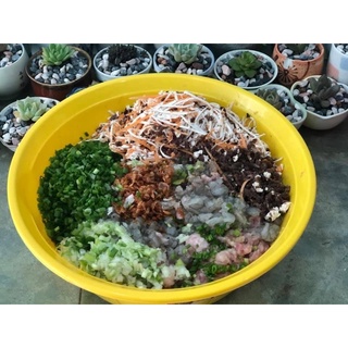 Chả Giò tôm thịt ĐẶC BIỆT - vỏ đa nem