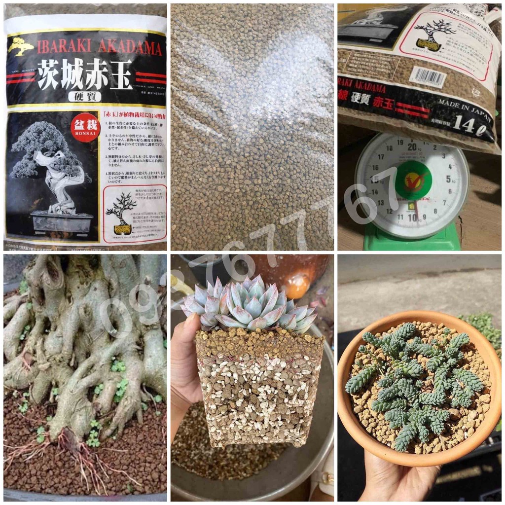 Đất nung Nhật IBARAKI AKADAM trồng bonsai, sen đá, xương rồng và làm đất nền hồ thuỷ sinh size S bao 14 lít