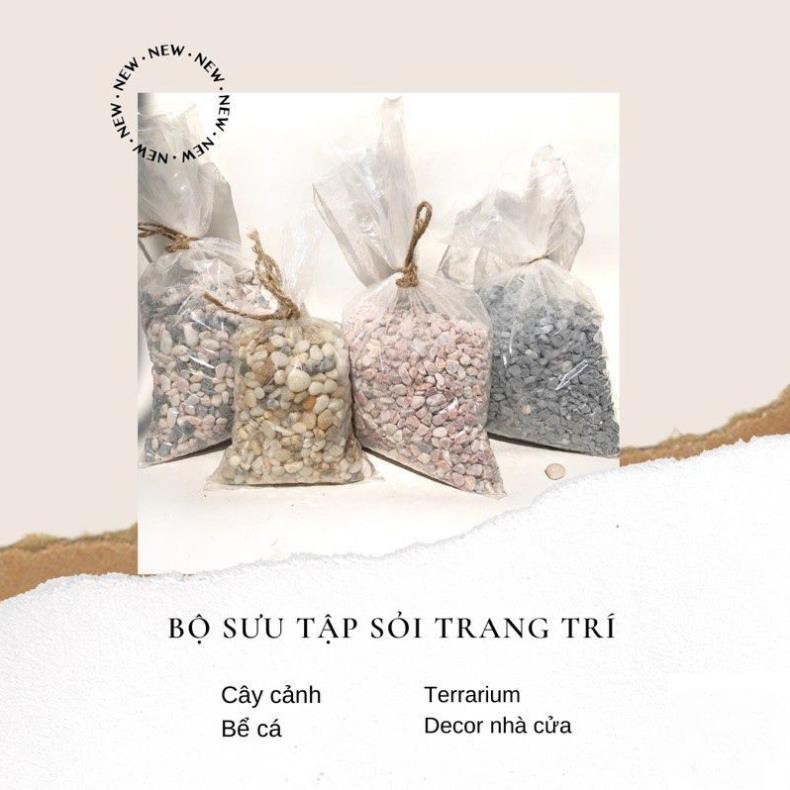 (1K) Sỏi trang trí chậu cây mini, sen đá & xương rồng - 100 g - Nhiều mầu sắc - S12 - S30