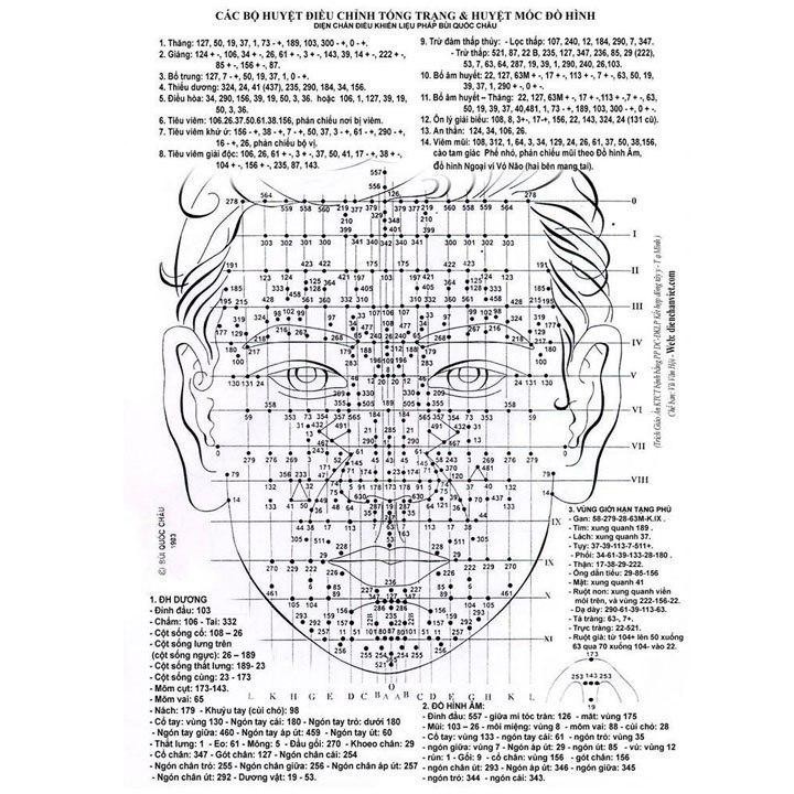 Dụng Cụ Diện Chẩn LĂN SỪNG ĐÔI